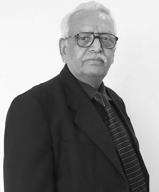 Mr. A.N.P Sinha